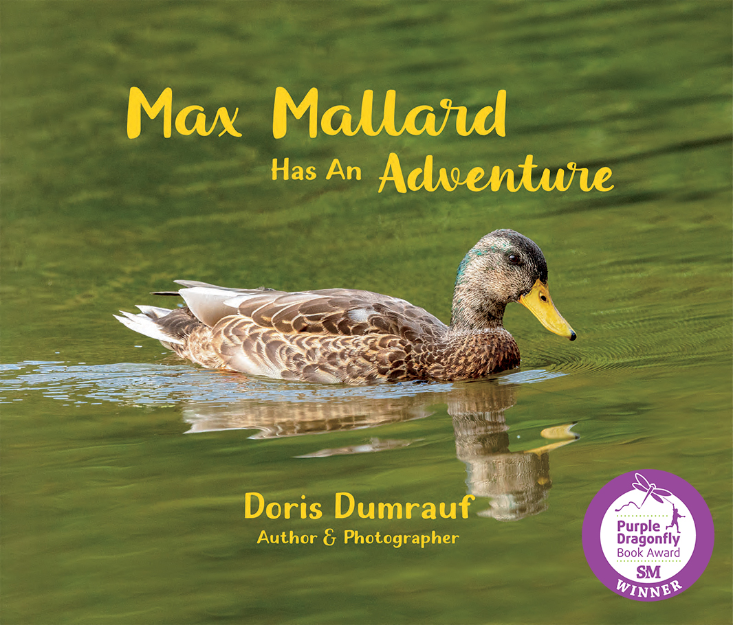 CMYK_9780997676754-ColorCase_r3.indd